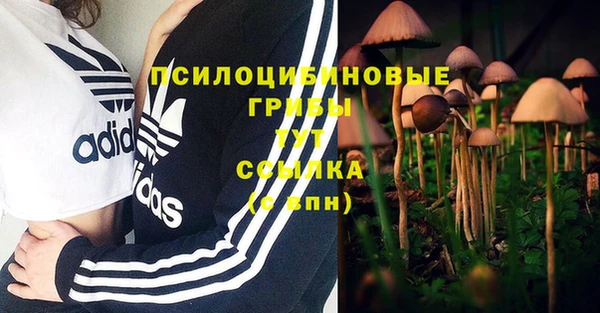 гидропоника Алексин