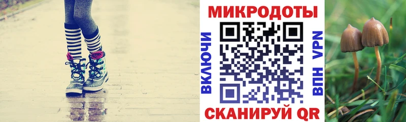 цены наркотик  Теберда  Псилоцибиновые грибы Cubensis 